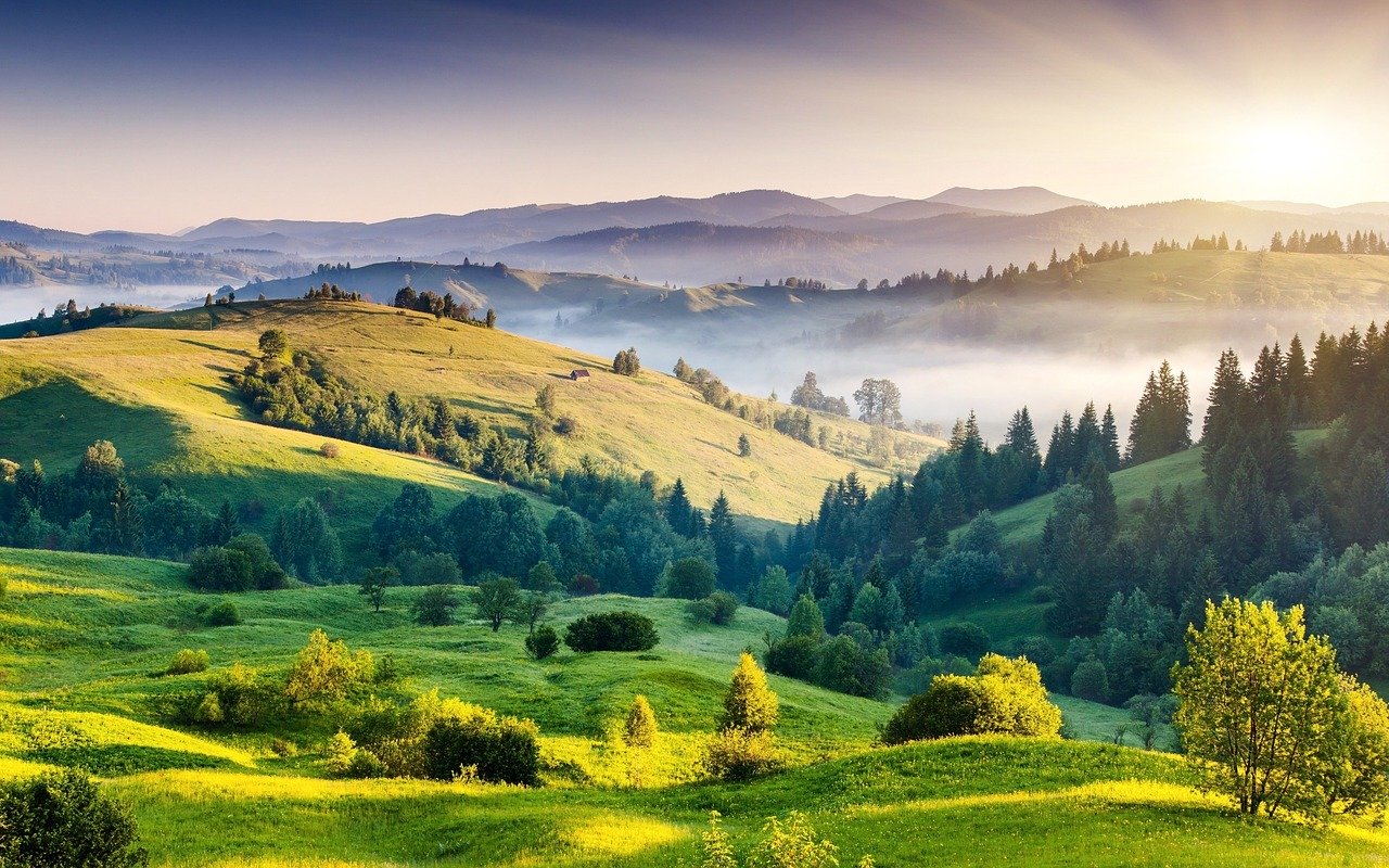 hills, india, nature