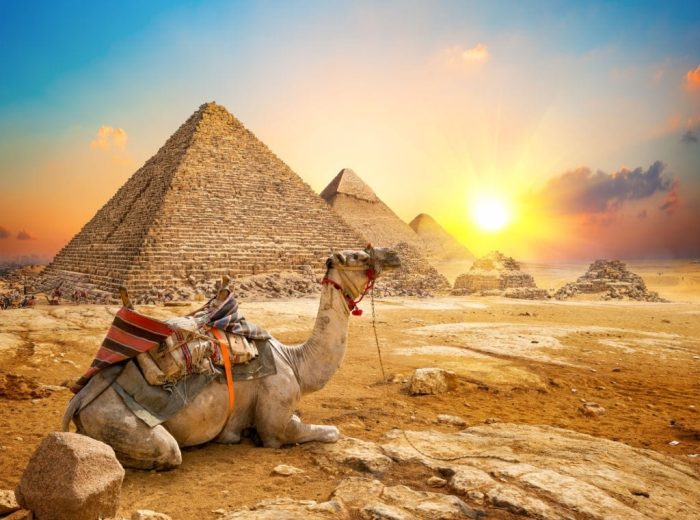 EGYPT PYRAMID CAMEL DESERT AFRICA EGYPT PYRAMID CAMEL DESERT AFRICA