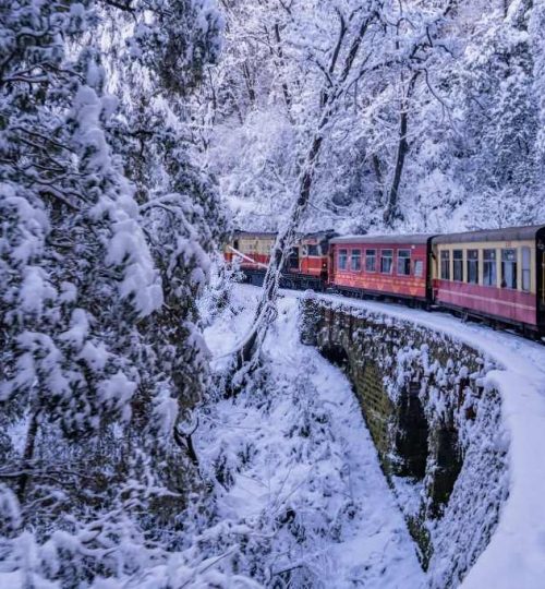 SHIMLA