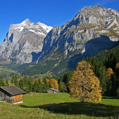 bernese oberland grindewald switzerland valley house mountains sky